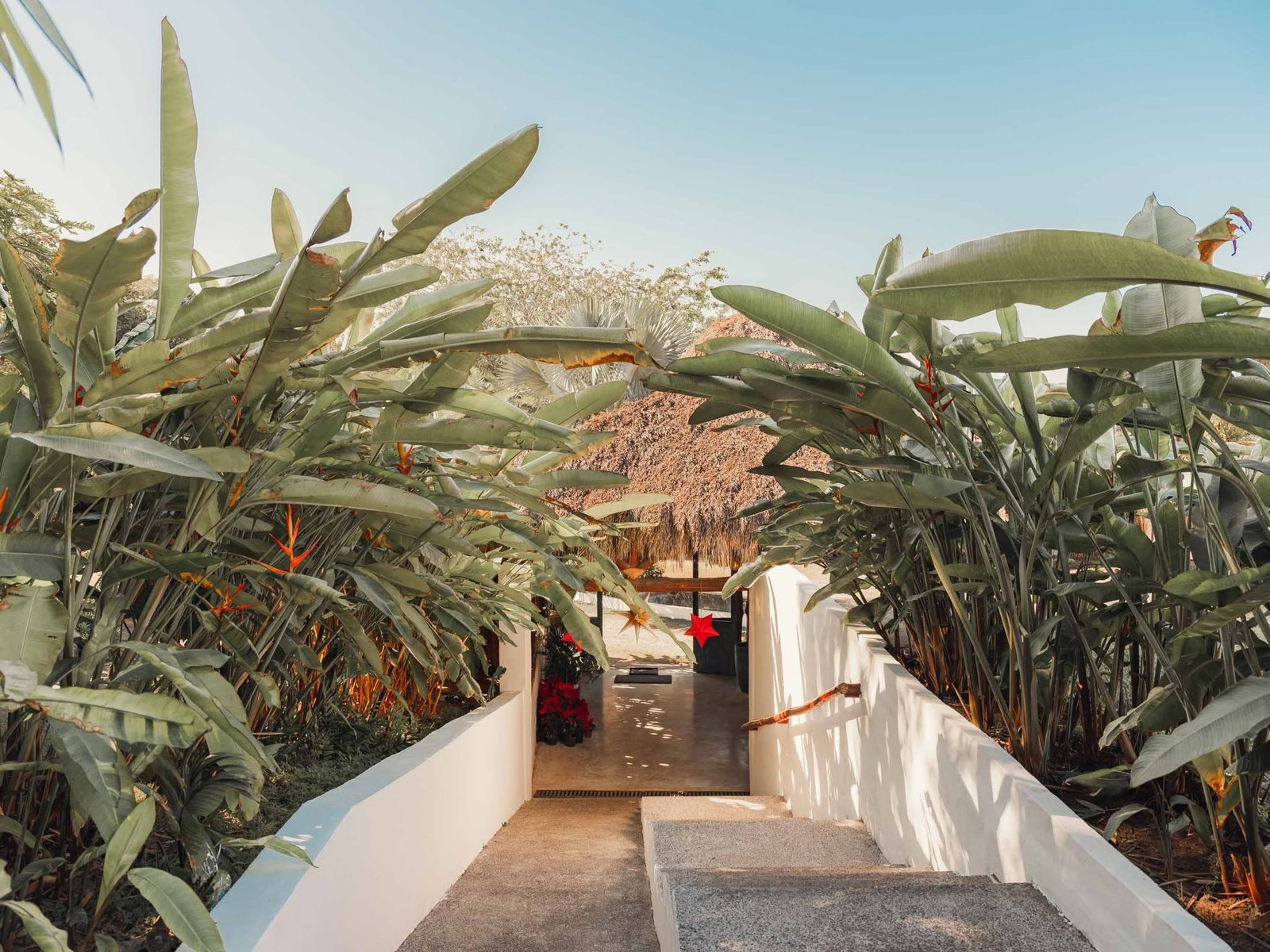 Pasillo encalado entre plantas tropicales que lleva a la palapa del hotel