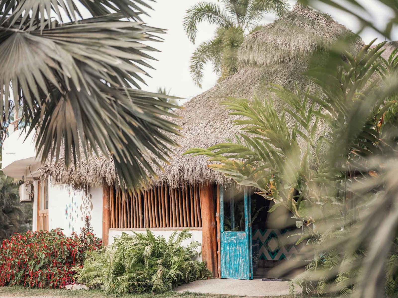 Suite Jardín: palapa de palma con puerta azul rodeada de helechos